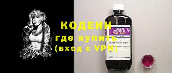 дживик Богородицк