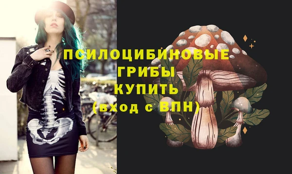 дживик Богородицк