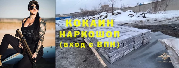 дживик Богородицк