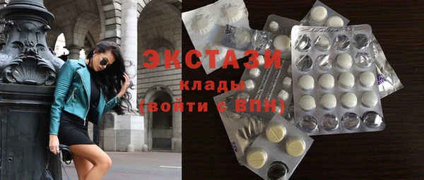 дживик Богородицк